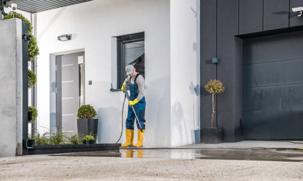 Best Driveway Cleaning and Restoration in Catalina Foothills, AZ